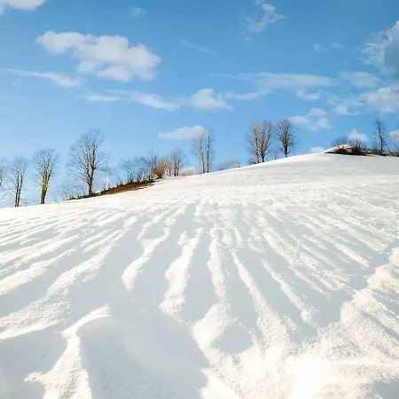 Luxury Holiday With Private Garden In Tyrol Brixen im Thale